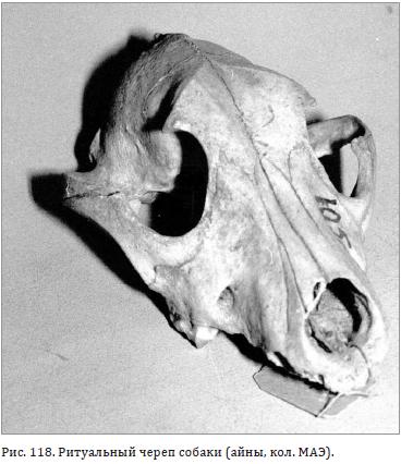 Ритуальный череп собаки (айны)