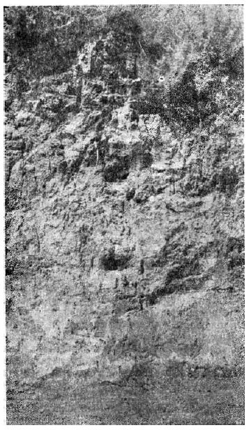На прилагаемом фото­графическом снимке (рис. 11) стрелкой показан уровень этой прерывистой слоистости, ниже кото­рой залегал слой смешанного водного отложения, перекрывавший старое русло оврага с обкатан­ным камешками