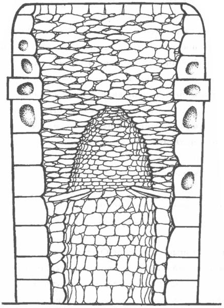 Схематическое изображение погребальной башни в Сильюстани (Колъясуйу)