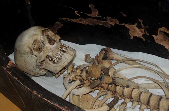 скелет мумии