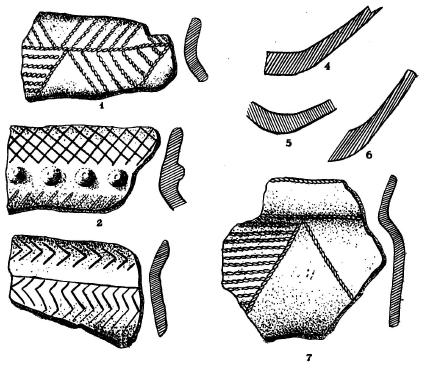 Фрагменты керамики со стоянки «Дурна Скеля» на Днепре 