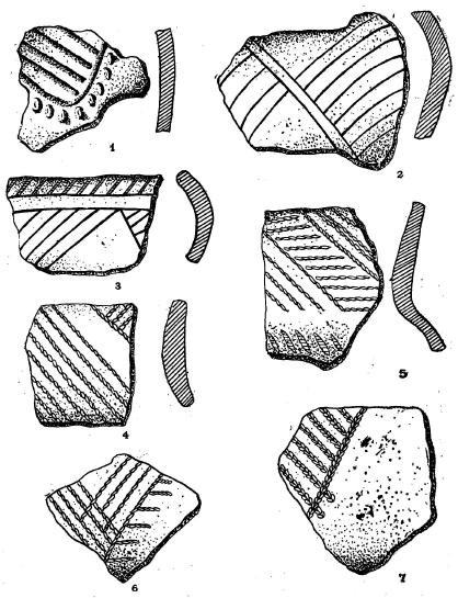 Фрагменты керамики со стоянки «Стрильча Скеля» на Днепре