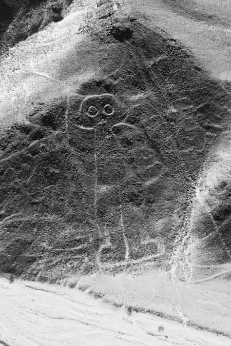 фигуры в пустыне Наска в Перу, снимок с борта космического корабля