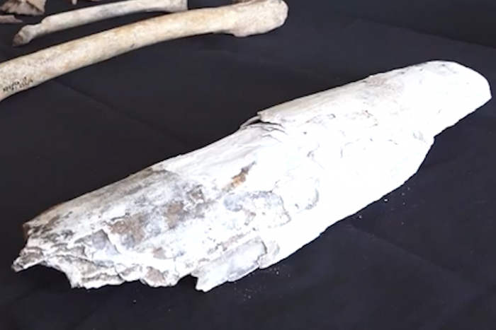В Уфе во время строительства пешеходного перехода археологи обнаружили останки мамонта. Находку сделали около монумента Дружбы.