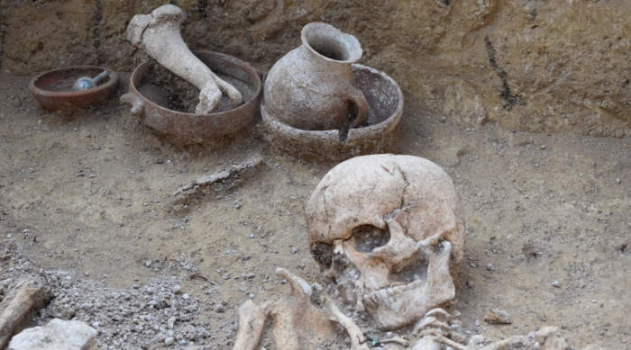 Исследователи проведут химический анализ предметов, найденных археологами близ села Опушки Симферопольского района